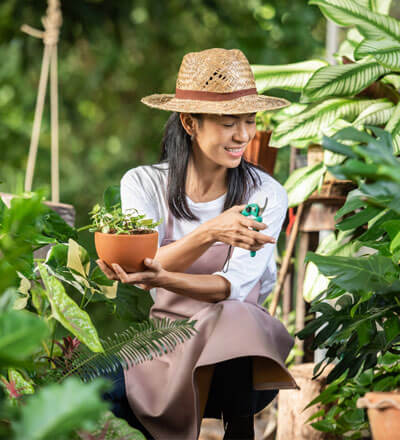 Sprinkler Irrigation